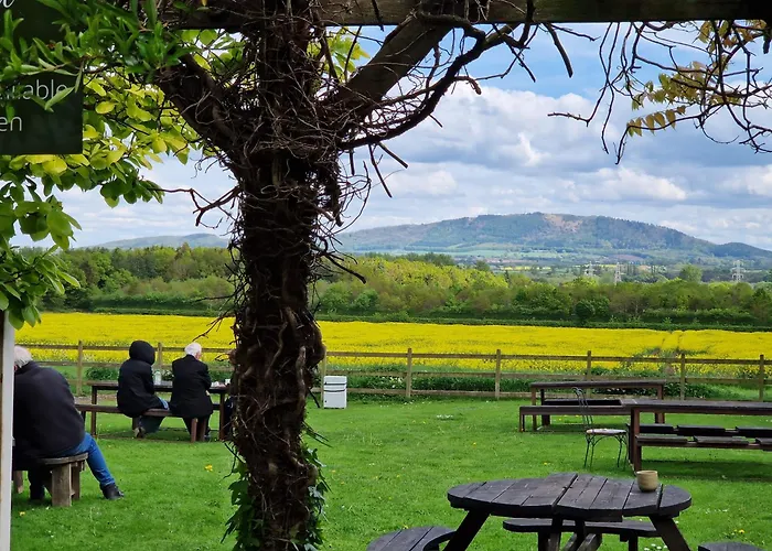 The Haughmond