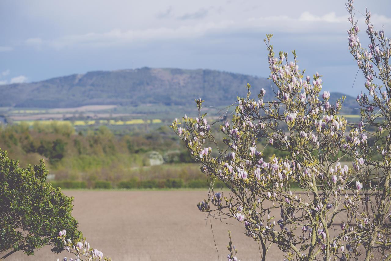 Estalagem The Haughmond 4*